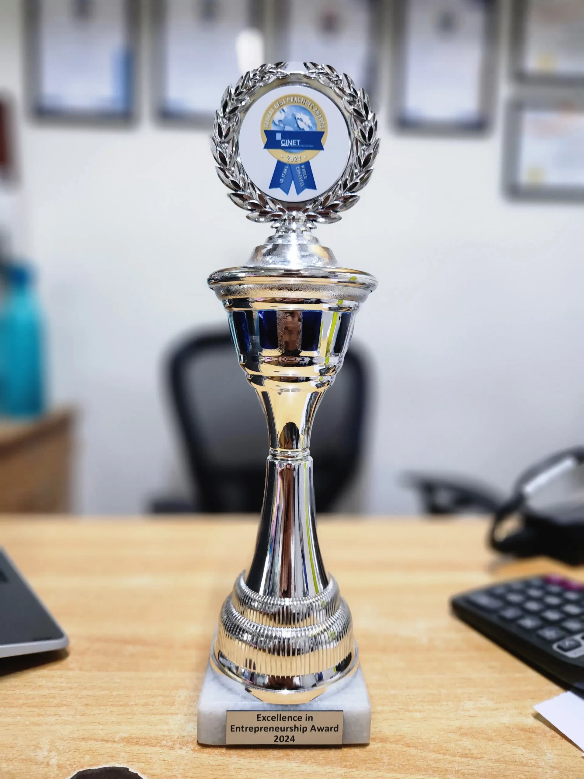 Excellence in Entrepreneurship Award 2024